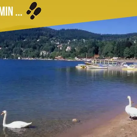 Le Cocon Du Lac, Terrasse, Vue شقة جوراردُميه