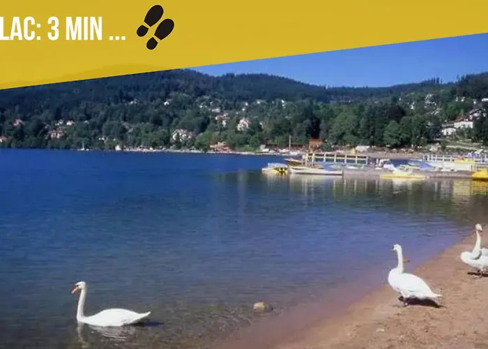 Le Cocon Du Lac, Terrasse, Vue شقة جوراردُميه